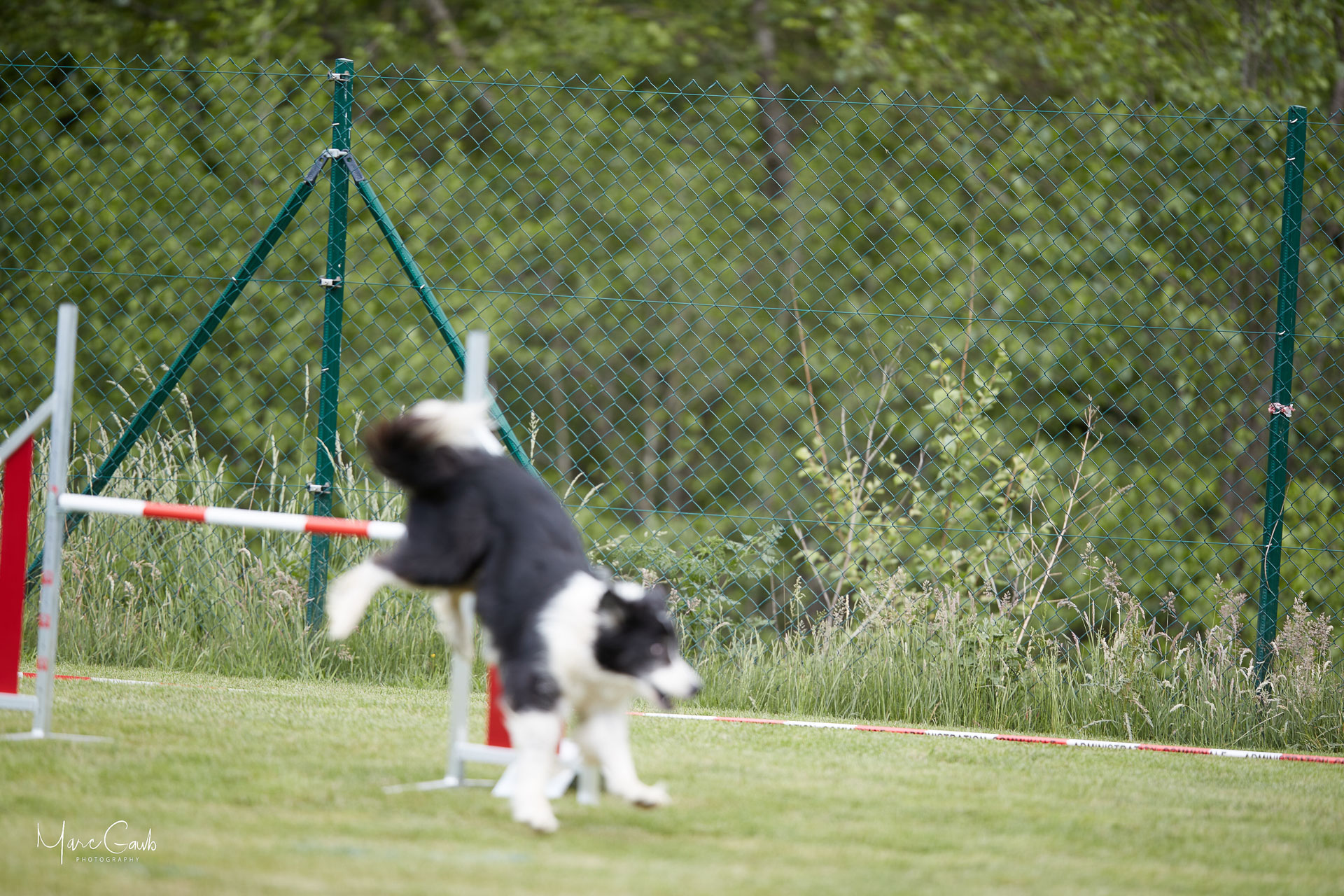 20220529-111950-B76I4833.jpg