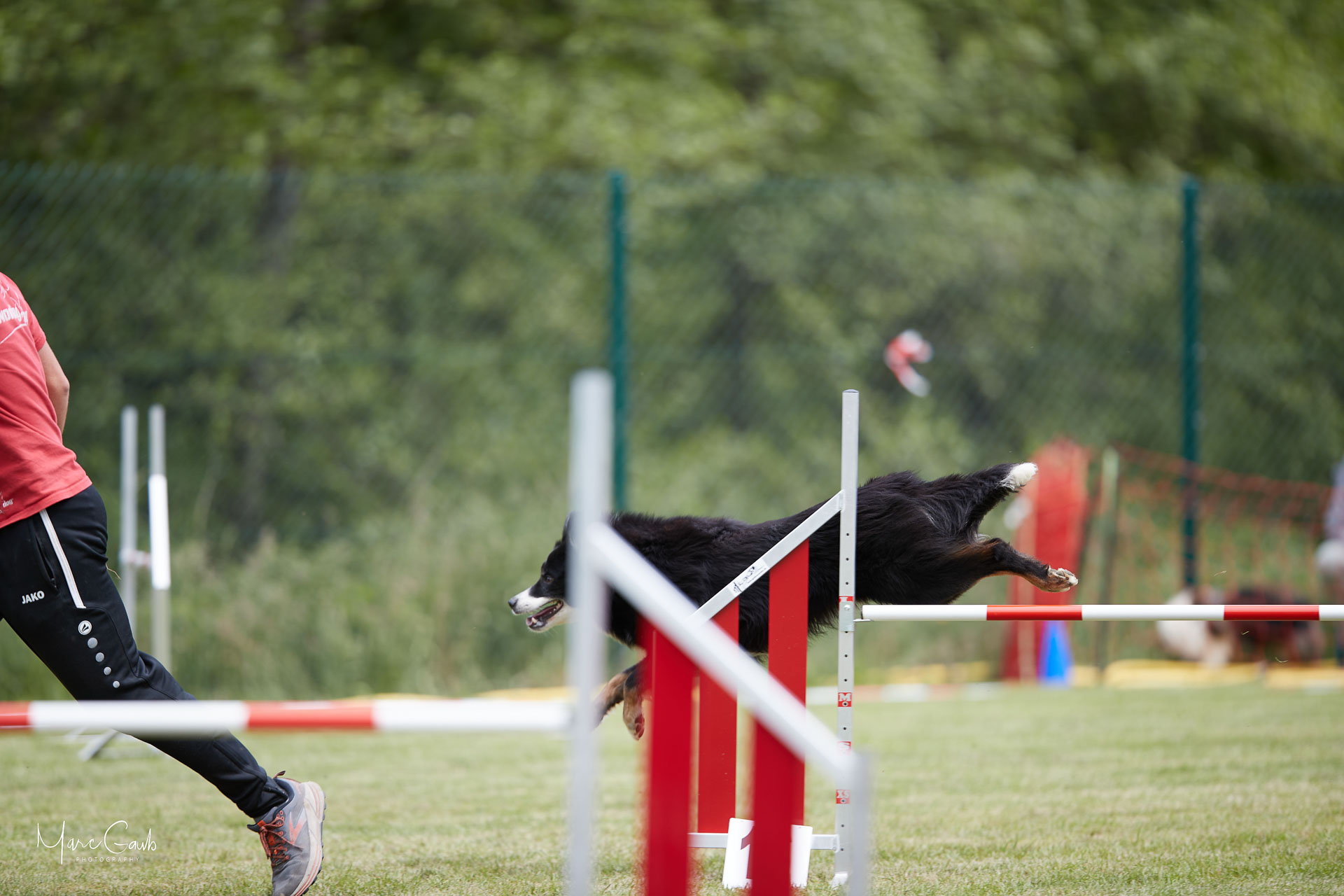 20220529-112012-B76I4926.jpg