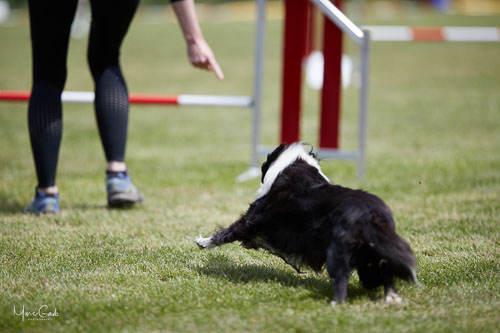 AGILITY WILTZ 2022 AGILITY WILTZ 2022
