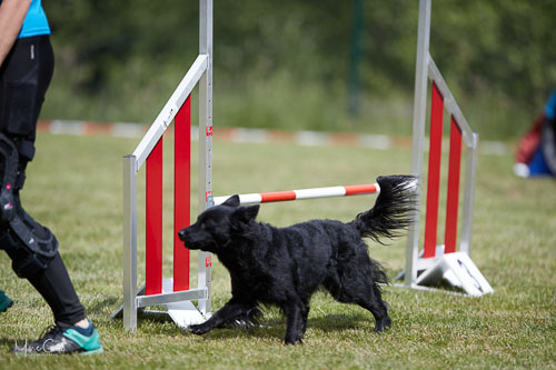 AGILITY WILTZ 2022 AGILITY WILTZ 2022