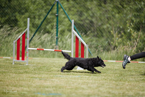 AGILITY WILTZ 2022 AGILITY WILTZ 2022