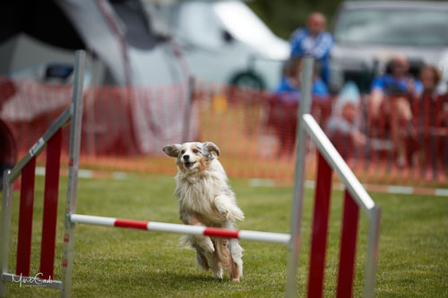 AGILITY WILTZ 2022