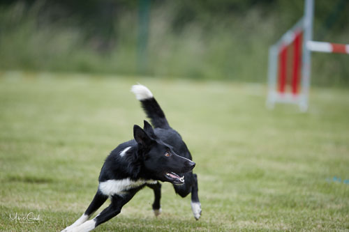 AGILITY WILTZ 2022 AGILITY WILTZ 2022