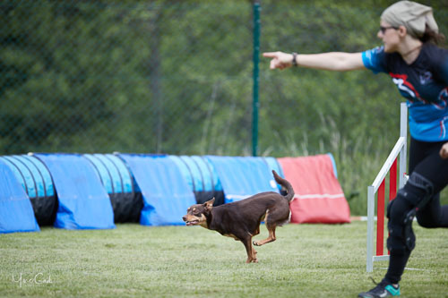 AGILITY WILTZ 2022 AGILITY WILTZ 2022