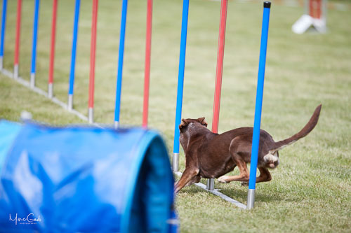 AGILITY WILTZ 2022